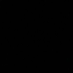 Meet your Posher, Jeani